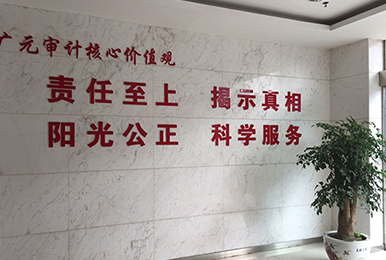 廣元審計局雷迪司數(shù)據中心機房應用案例